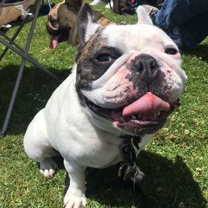 Meet your Posher, Dani